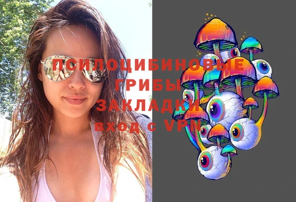 apvp Магадан