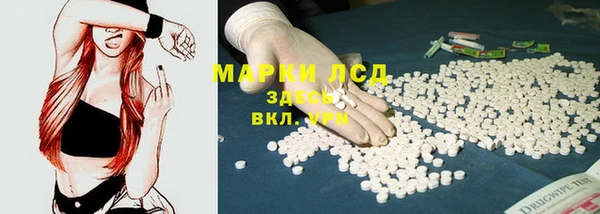 apvp Магадан