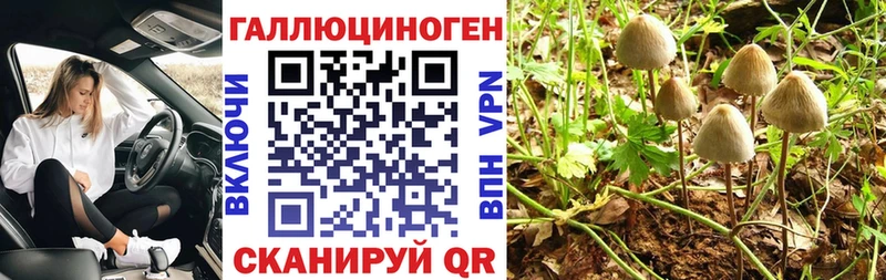Псилоцибиновые грибы прущие грибы Купить закладки Удомля